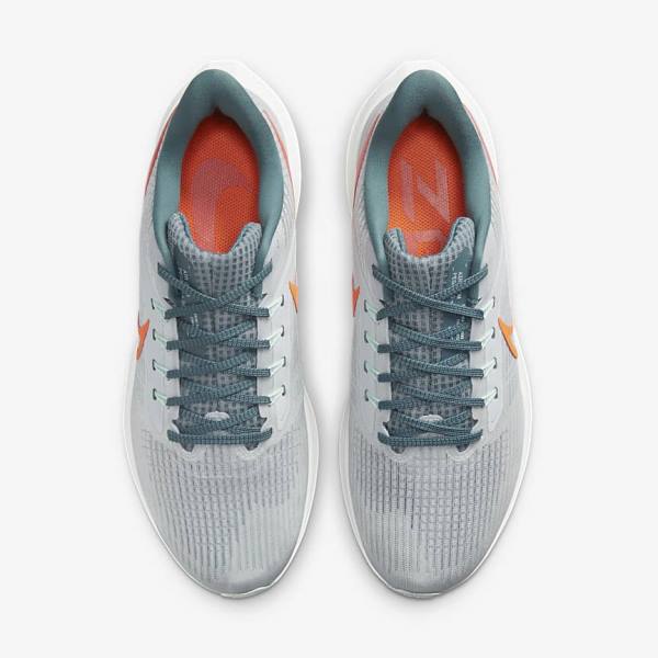 Nike Air Zoom Pegasus 39 Road Moški Tekaški Čevlji Platina | NK928FYG