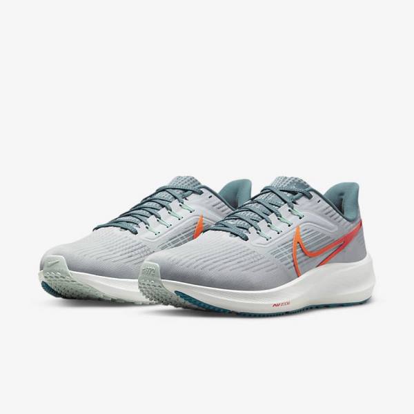 Nike Air Zoom Pegasus 39 Road Moški Tekaški Čevlji Platina | NK928FYG