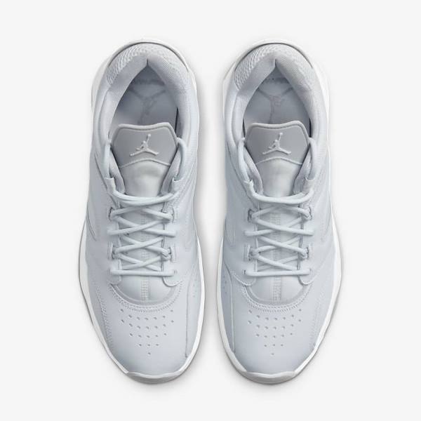 Nike Jordan Point Lane Moški Jordan Čevlji Platina | NK510VRX