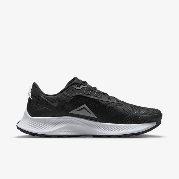 Nike Pegasus Trail 3 Trail Moški Tekaški Čevlji Platina | NK480BTZ