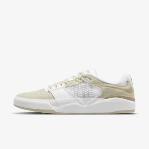 Nike SB Ishod Wair Premium Moški Skate Čevlji Svetloba Siva / Bela / Kaki | NK698IXO